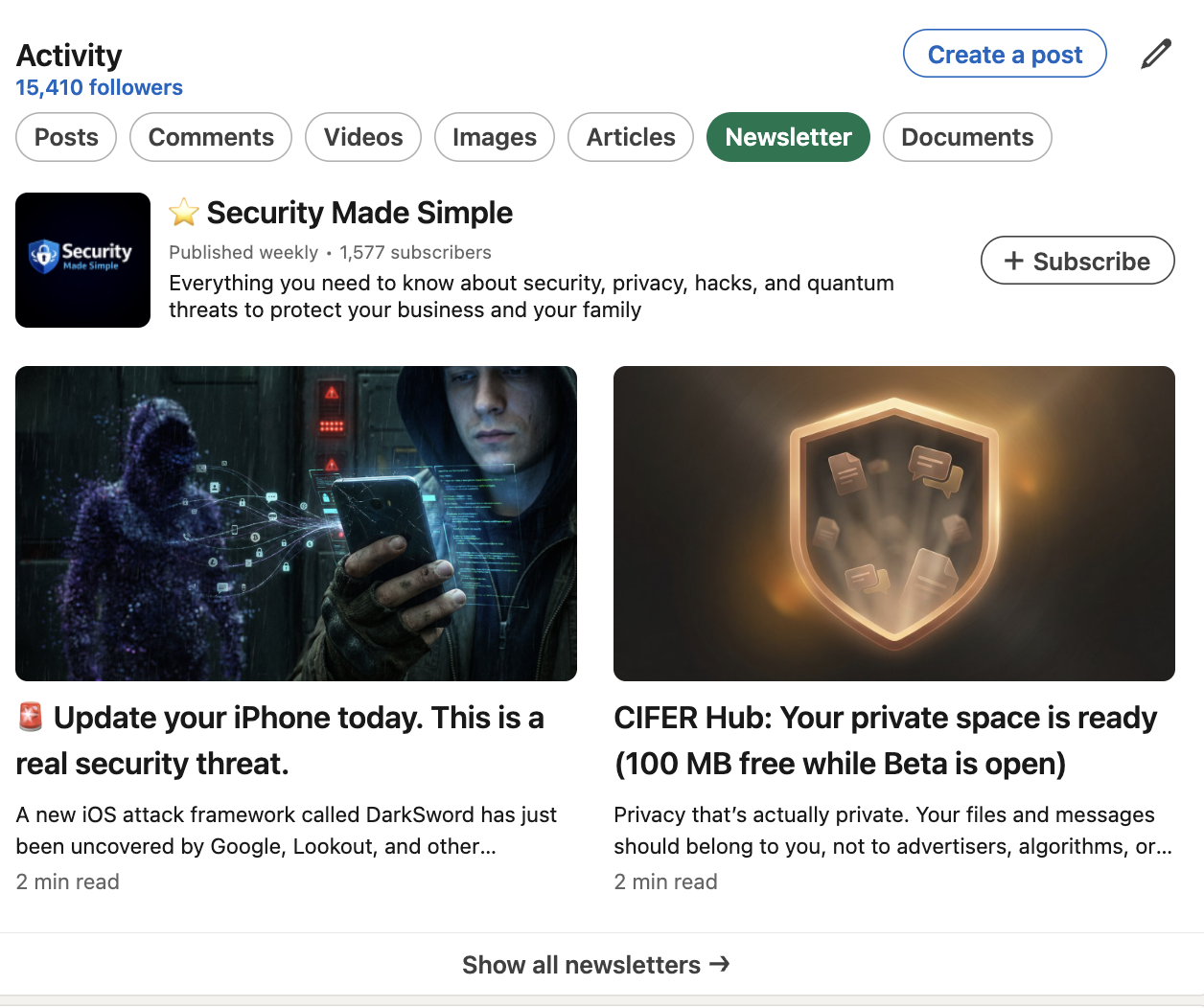 LinkedIn newsletter activity example with a newsletter tab, subscribers, and recent articles.